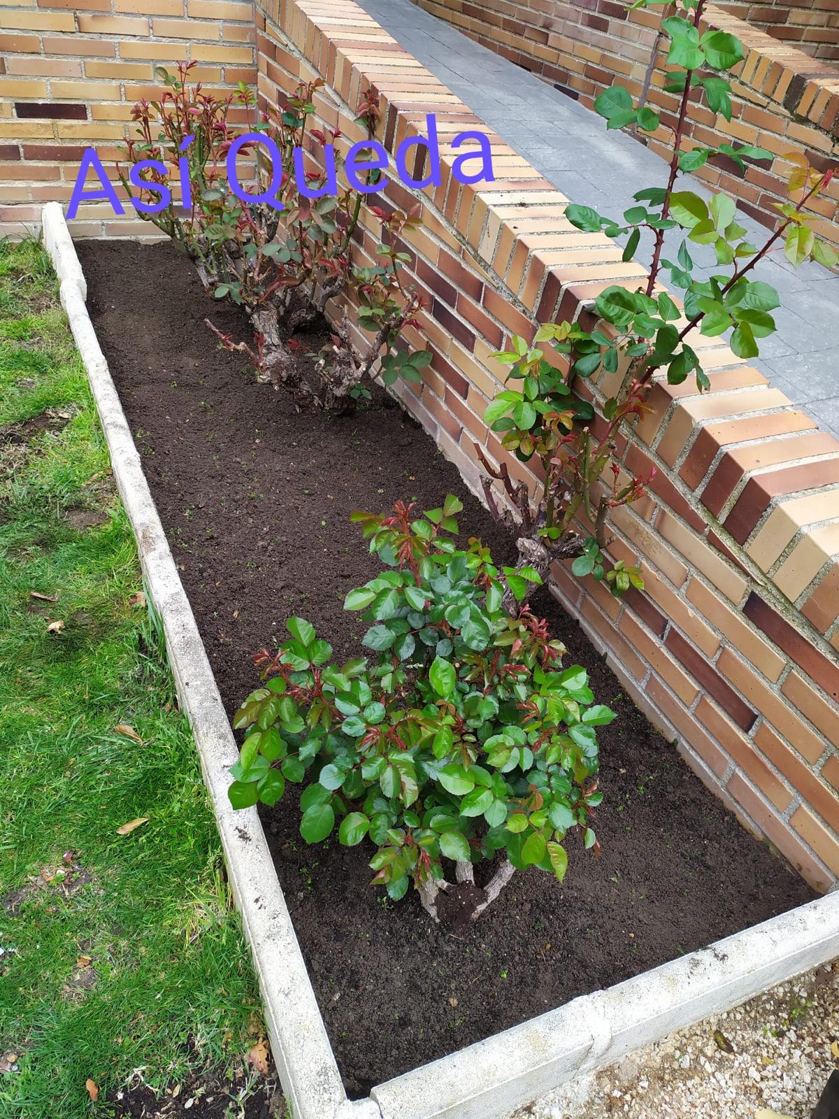 Gardening